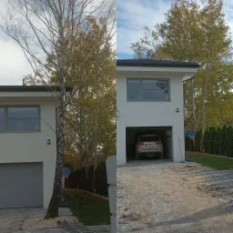 Porównanie stanu drzewa przed i po przycięciu na tle nowoczesnego domu z szarą kostką brukową i zielonym żywopłotem.