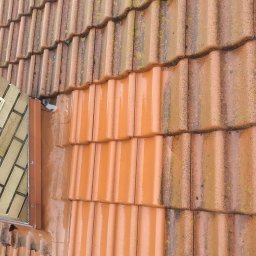 alpinmax.pl - Częściowo oczyszczony dach z czerwonej dachówki, widoczne zabrudzenia i porosty na nieumytym fragmencie dachu.