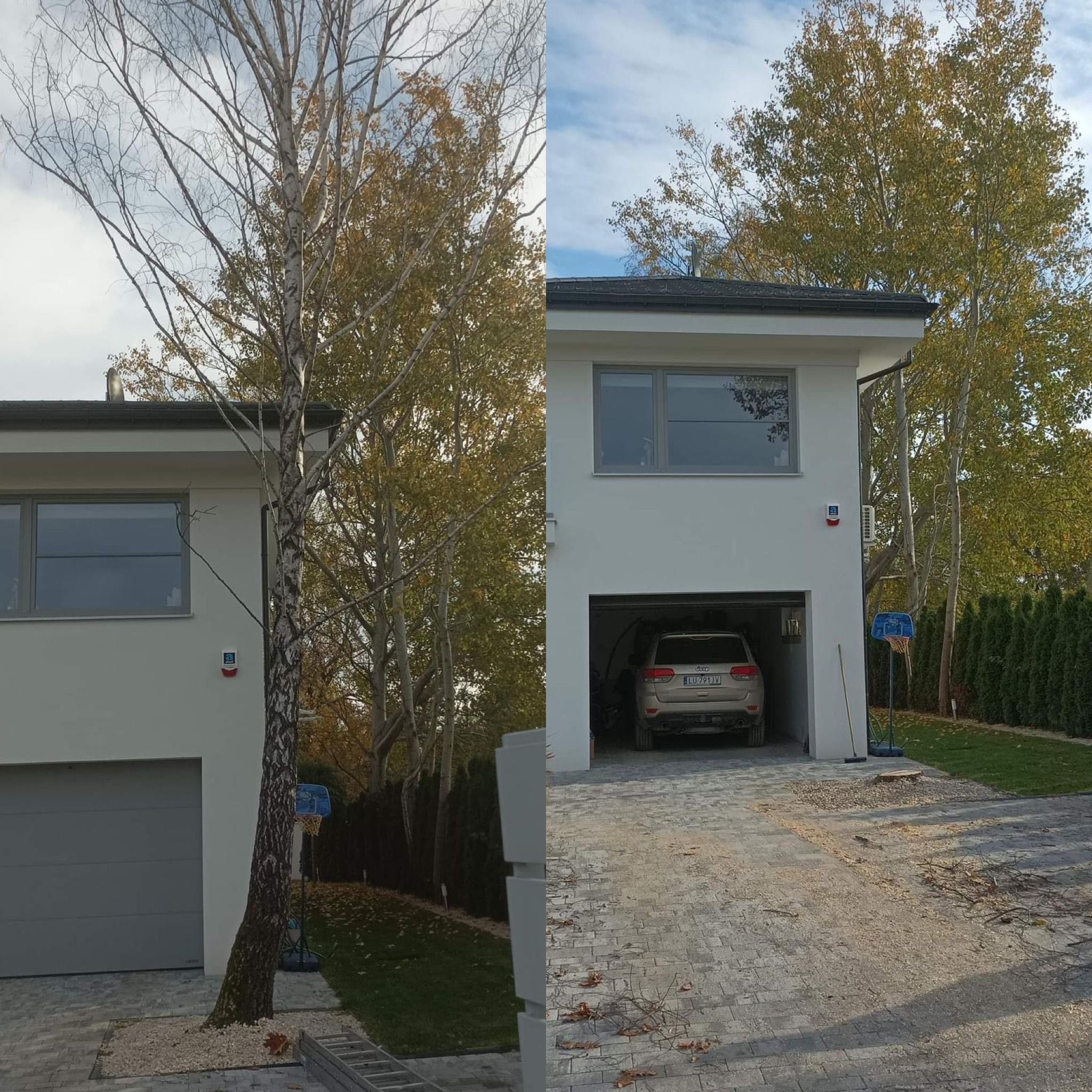 Porównanie stanu drzewa przed i po przycięciu na tle nowoczesnego domu z szarą kostką brukową i zielonym żywopłotem.