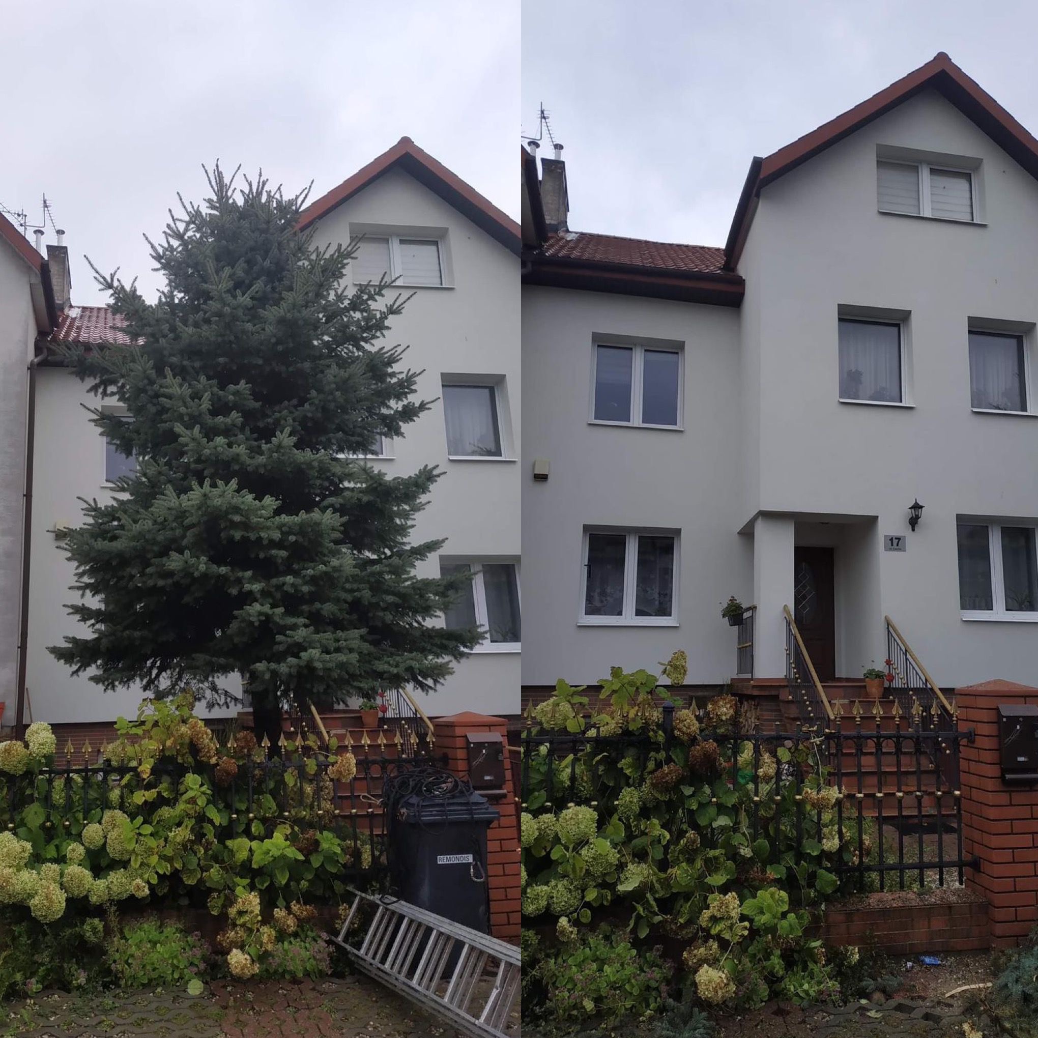 Porównanie domu przed i po usunięciu dużego świerku, widoczna drabina oparta o śmietnik, hortensje częściowo uschnięte, szara elewacja domu.