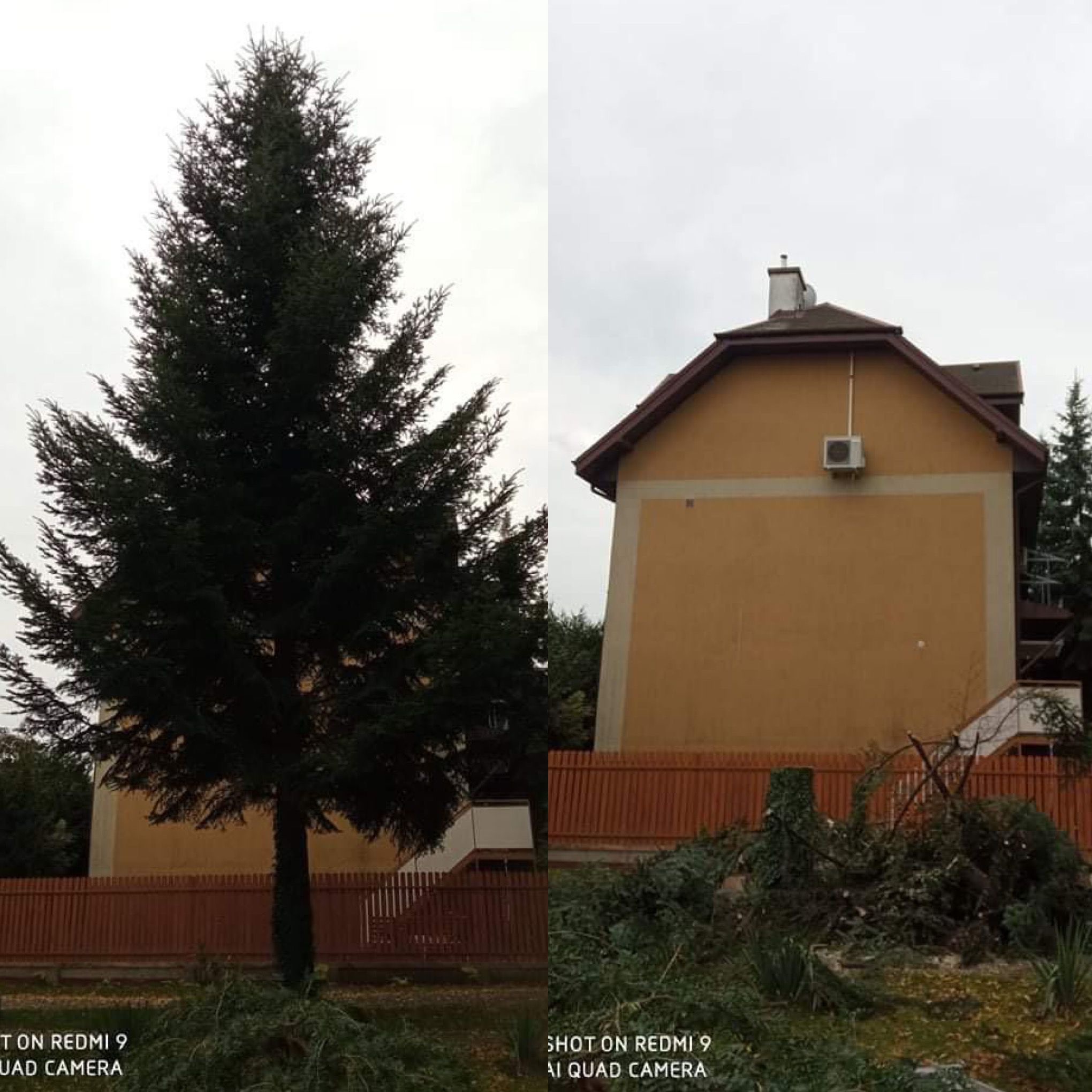 Porównanie stanu drzewa przed i po przycięciu na tle budynku z klimatyzacją i brązowego płotu.