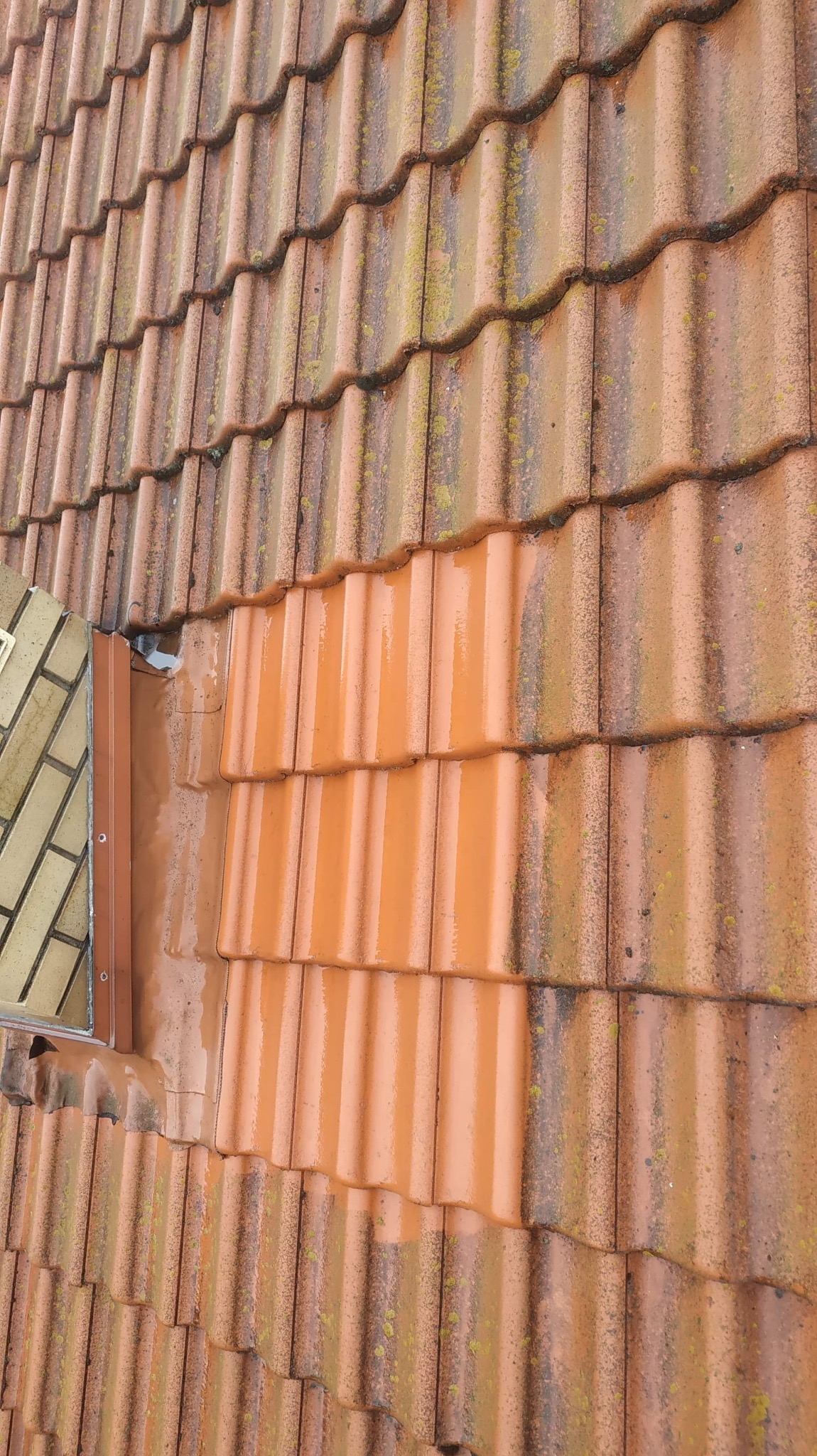Częściowo oczyszczony dach z czerwonej dachówki, widoczne zabrudzenia i porosty na nieumytym fragmencie dachu.