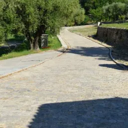 Ułożona z kostki brukowej droga w wiejskim otoczeniu, z kamiennym murem oporowym i drzewami w tle, częściowo zacieniona.