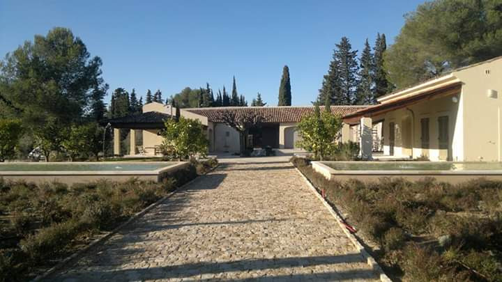 Szeroki, lekko nierówny chodnik z jasnej kostki prowadzi do parterowego budynku z beżową elewacją i czerwoną dachówką, otoczonego zielenią i niskimi basenami.