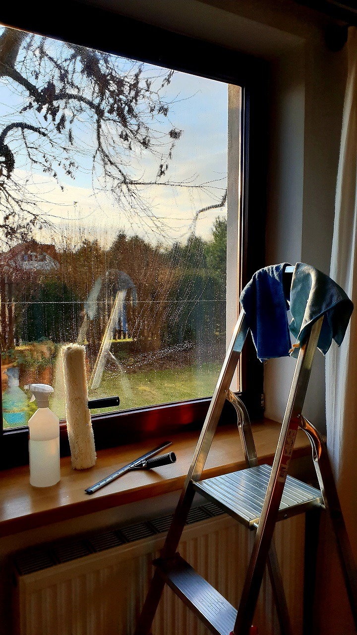 Okno z widocznymi smugami po czyszczeniu, obok drabina z niebieskimi ściereczkami, spryskiwacz i ściągaczka na parapecie, widok na ogród przez szybę.