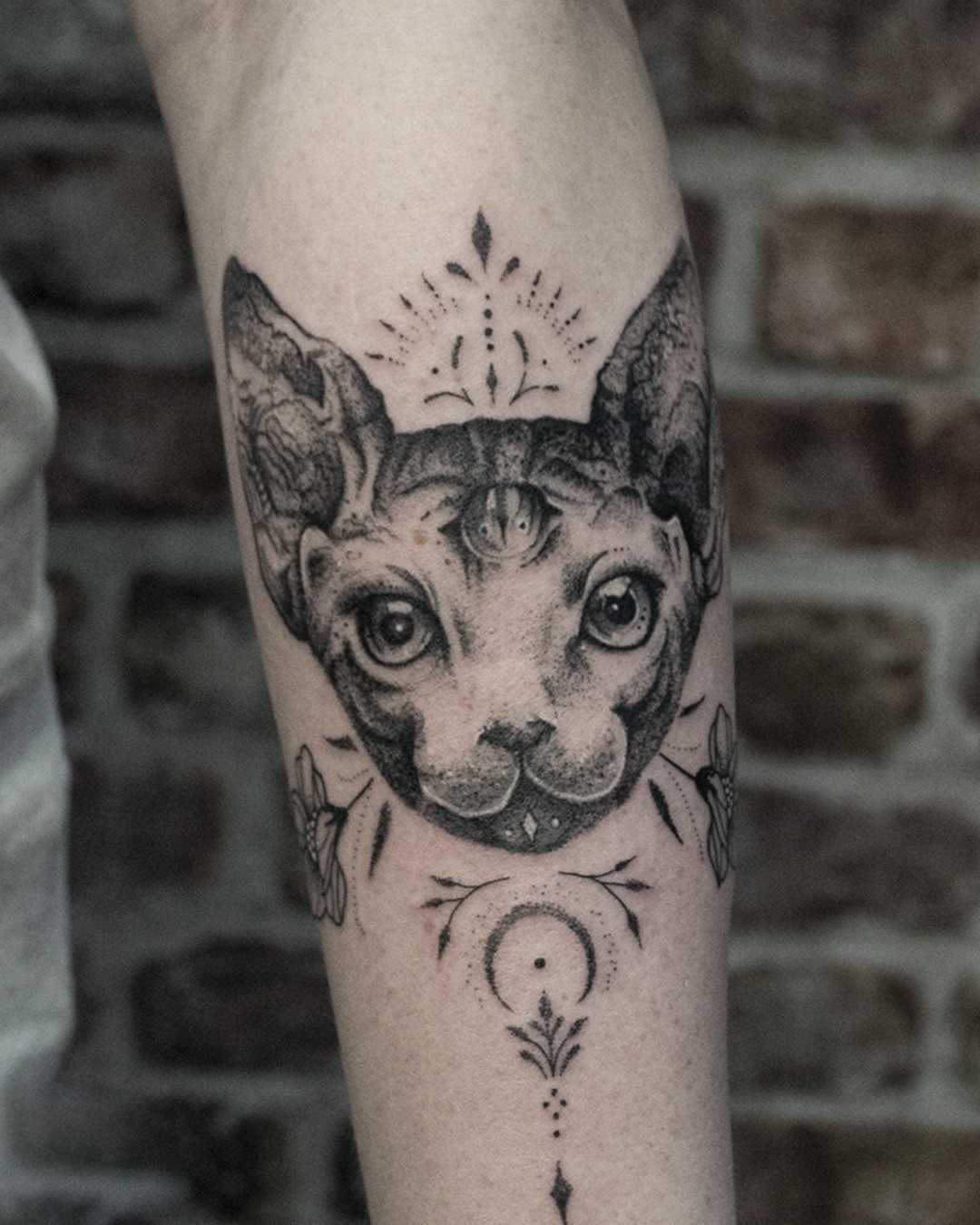 Tatuaż na ramieniu przedstawiający głowę kota Sfinksa z trzecim okiem i ornamentami geometrycznymi na tle ceglanej ściany.