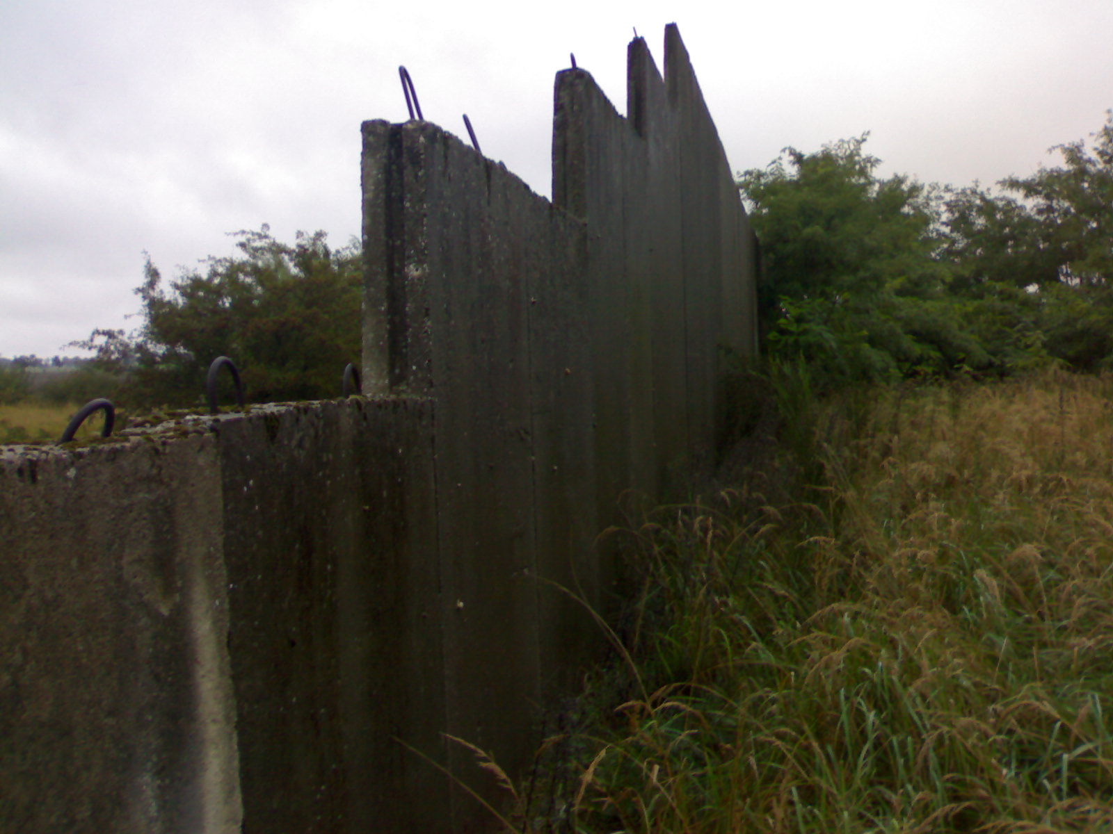 Fragment betonowego muru oporowego z wystającymi elementami zbrojenia, porośniętego mchem i otoczonego wysoką trawą na tle pochmurnego nieba i drzew.