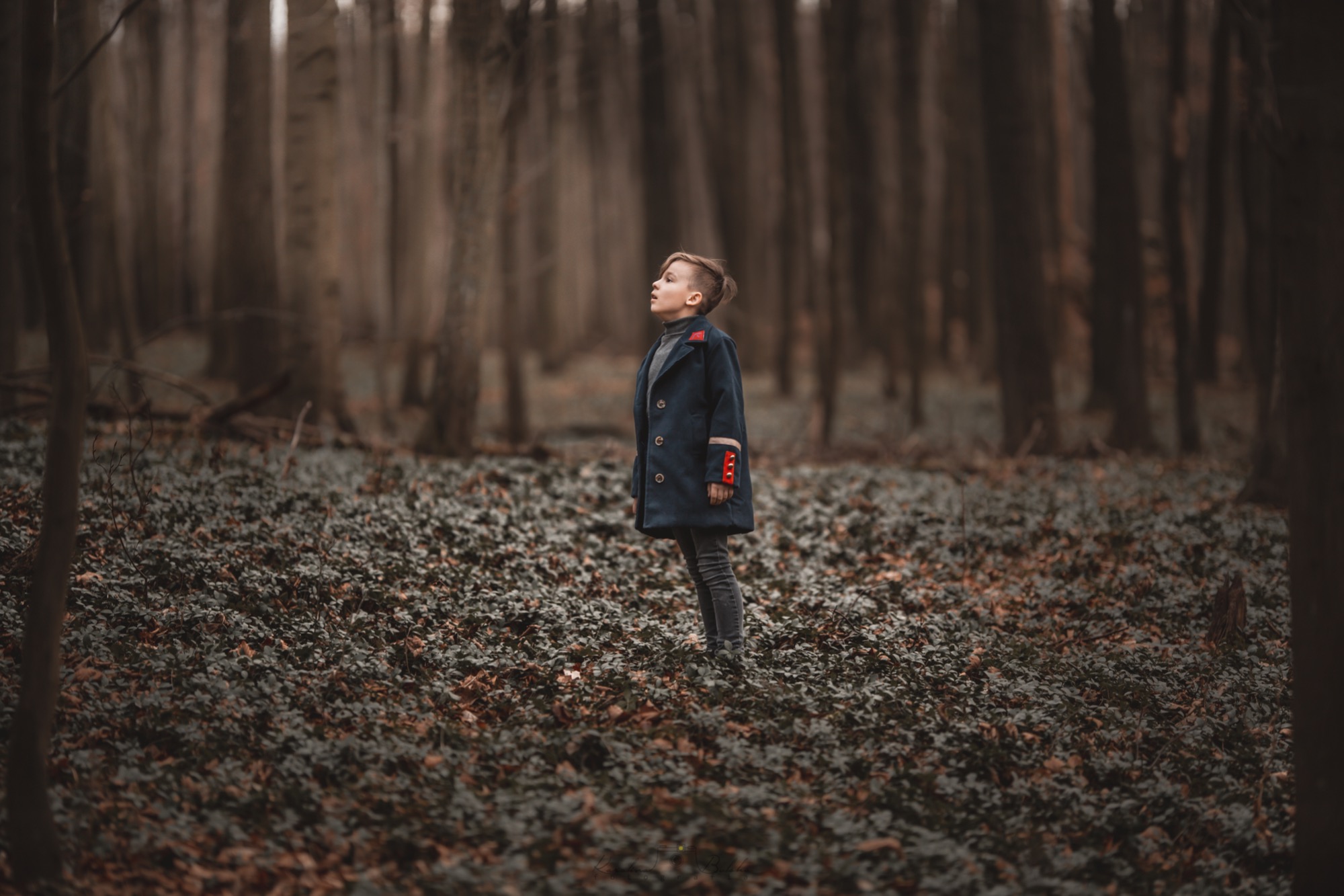 Chłopiec w ciemnym płaszczu z czerwonymi akcentami stoi na tle zalesionego krajobrazu, spoglądając w górę z zamyślonym wyrazem twarzy.