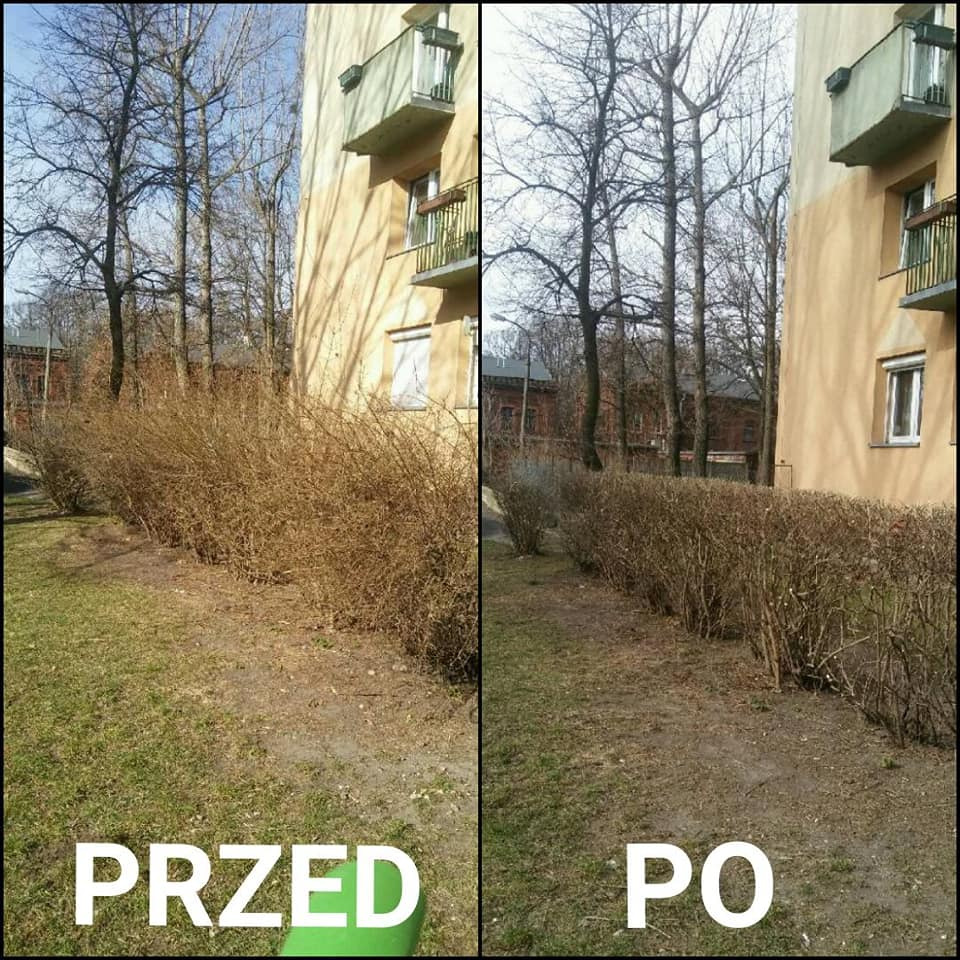 wykonujemy również usługi przycinania żywopłotów jak i inne prace ogrodnicze