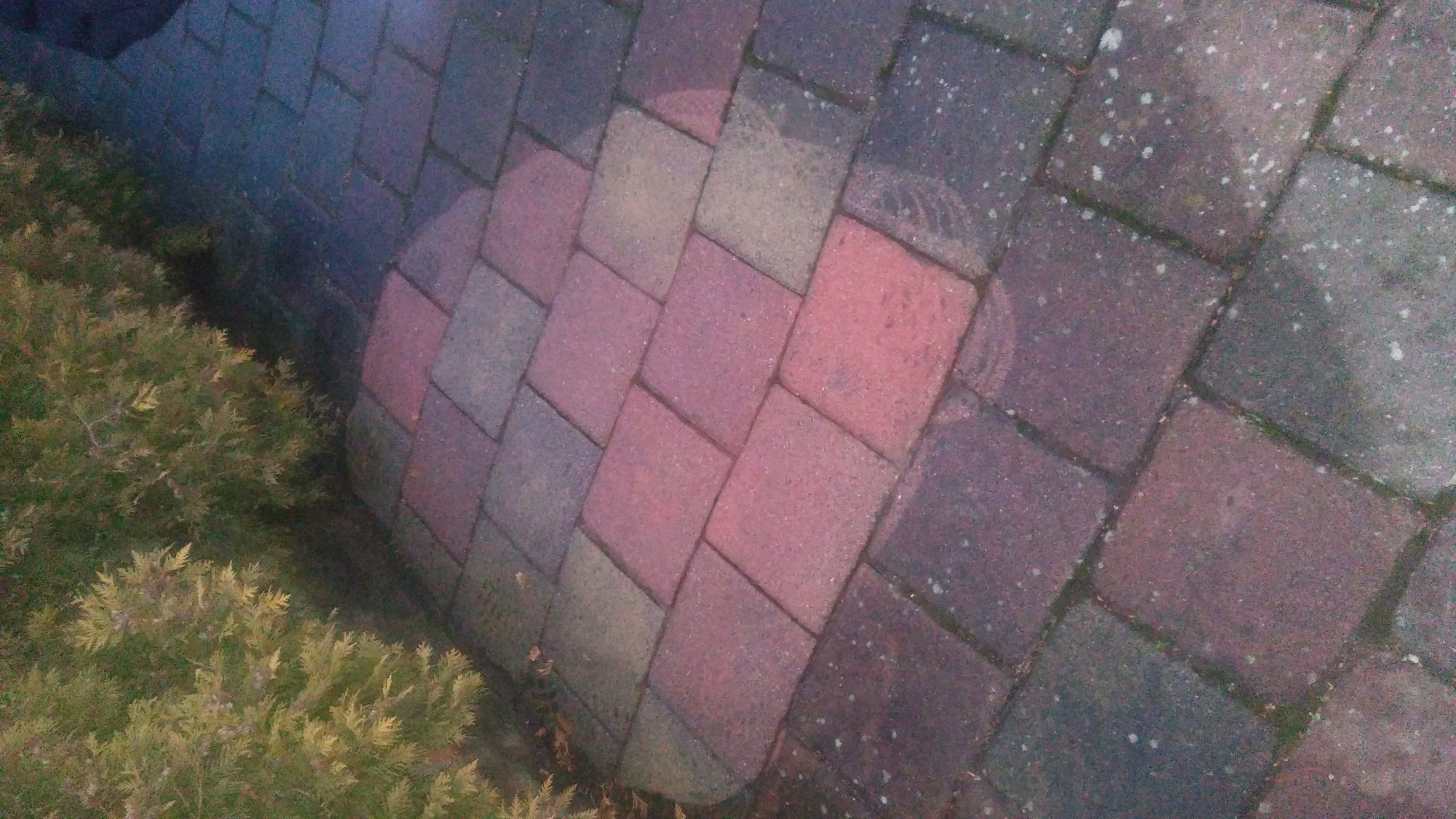 Czyścimy profesjonalnie kostkę brukową. Na zdjęciu widać próbę u klienta