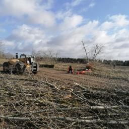 Mikołaj Jarzyna MDL, Wyburzenia, Rozbiórki, Prace ziemne - Oferujemy wycinki drzew :)