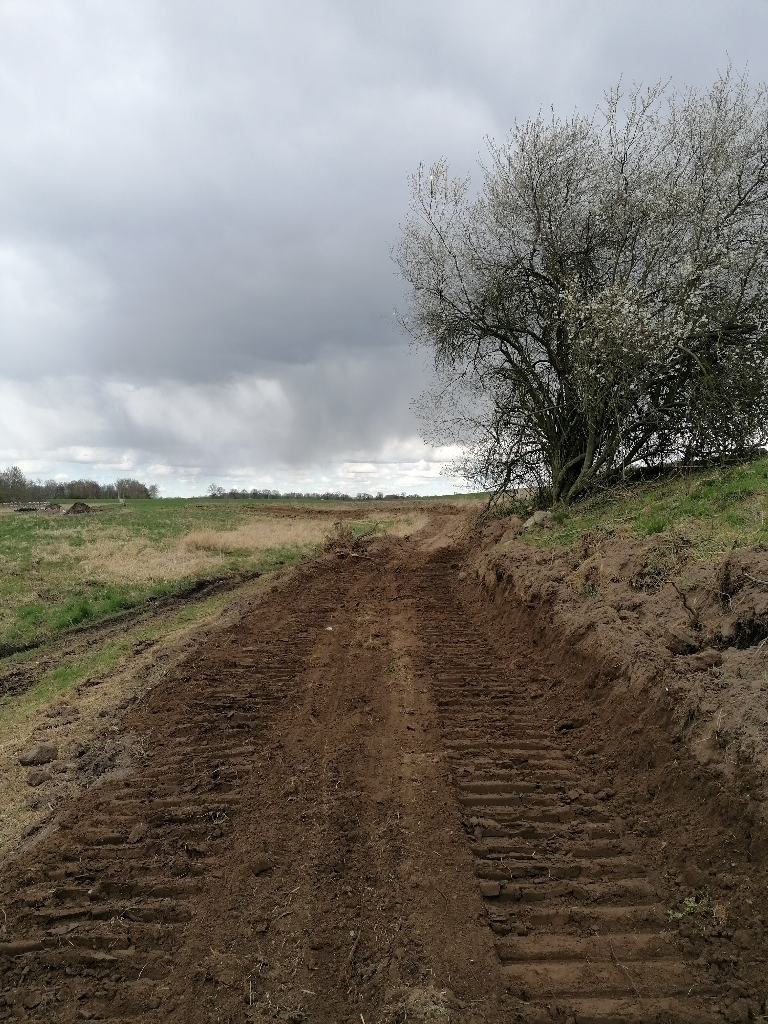 Świeżo wyrównany teren pod budowę z widocznymi śladami gąsienic maszyny, na skraju pola z drzewem w tle i pochmurnym niebem.