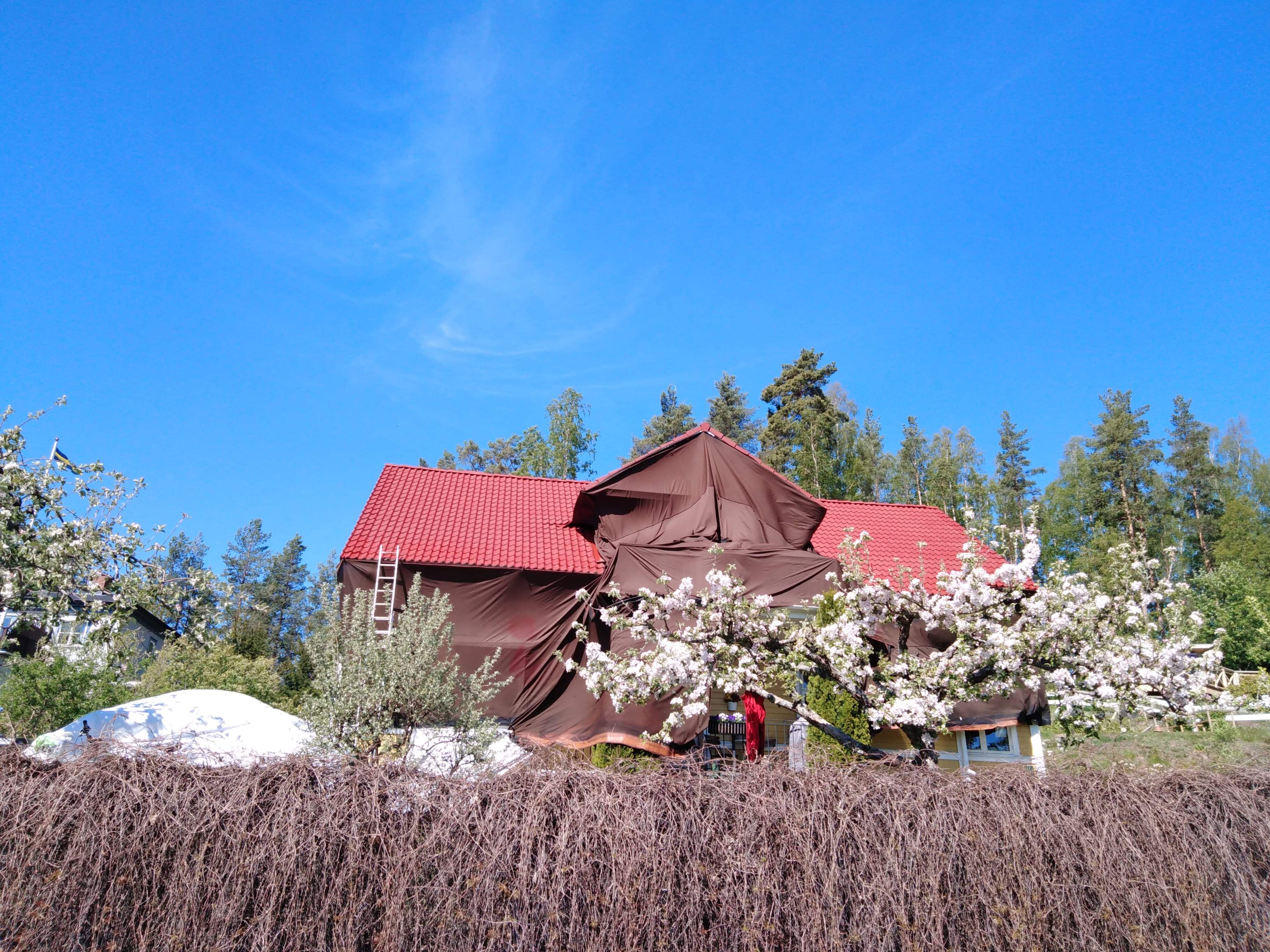 Dom z czerwonym dachem częściowo zakryty brązową plandeką ochronną podczas prac remontowych, widoczna drabina oparta o dach, kwitnące drzewa w otoczeniu.