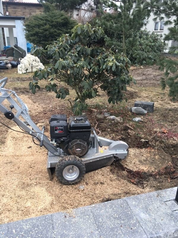 Frezowanie pozostałości pni