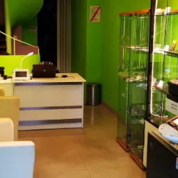 Wnętrze serwisu komputerowego z zielonymi ścianami, widoczny biurko z laptopem, monitory, szklana witryna z laptopami i sprzętem, oraz fotel dla klientów