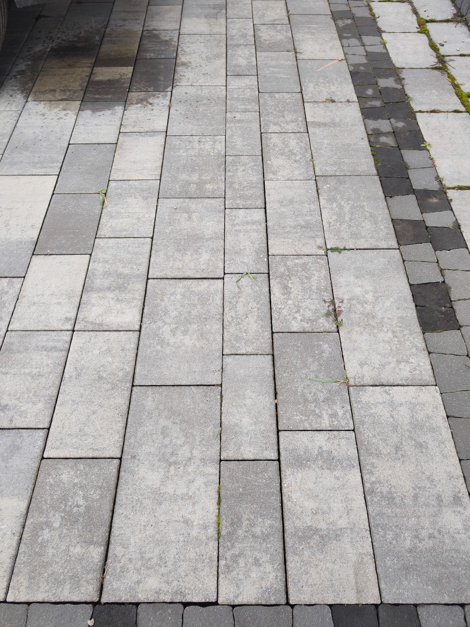 Szara, betonowa nawierzchnia z kostki, ułożona w regularny wzór, z obramowaniem z ciemniejszej kostki po prawej stronie, widoczne drobne chwasty i plamy wilgoci.