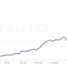 Efekt budowania widoczności od samego początku powstania strony