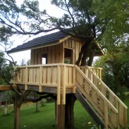 Drewniany domek na drzewie z balustradą i schodami, częściowo wkomponowany w konary drzewa, z czarnym dachem z dachówki bitumicznej.