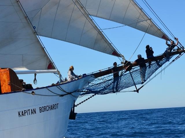 Rejs morski młodzieży na s t s Kapitan Borchardt.