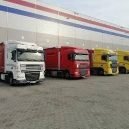 Rząd zaparkowanych ciężarówek DAF w kolorach białym, czerwonym i żółtym na tle magazynu z bramami załadunkowymi i pasami w barwach narodowych, widok z poziomu gruntu.