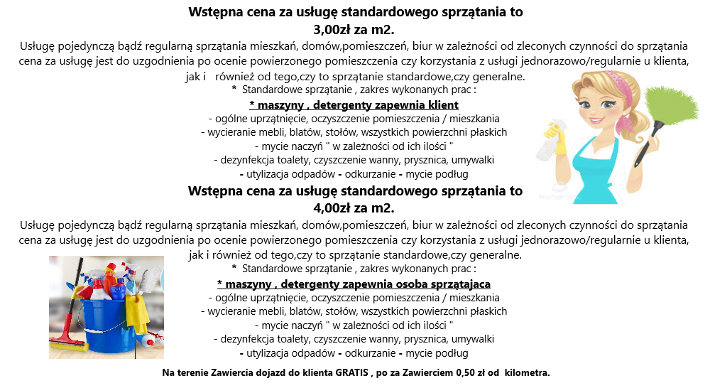 Grafika reklamowa usług sprzątania: Cennik standardowego sprzątania, ilustracja kobiety z miotełką i wiadro ze środkami czystości.