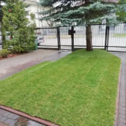 Trawnik z rolki nasze wykonanie