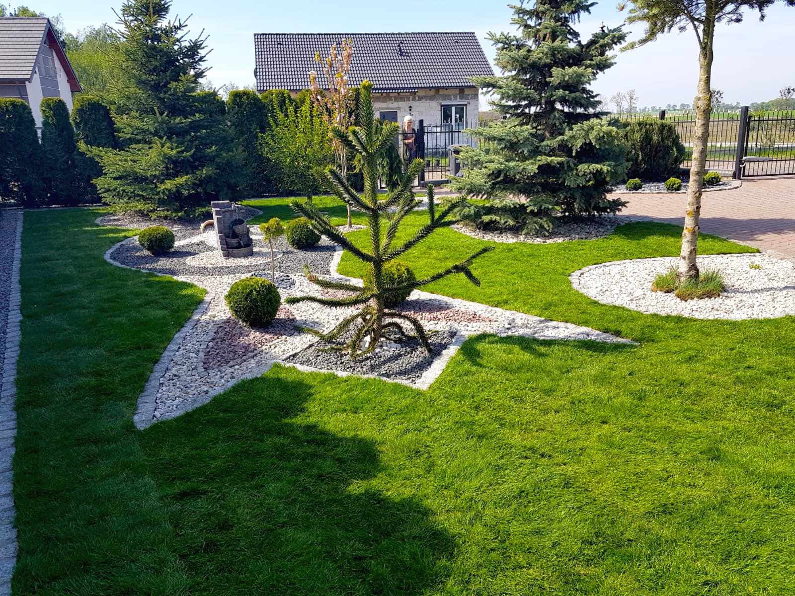 Starannie zaprojektowany ogród z zielonym trawnikiem, ozdobnymi kamieniami, krzewami i drzewami iglastymi. W tle widoczny dom z ciemnym dachem i ogrodzenie.