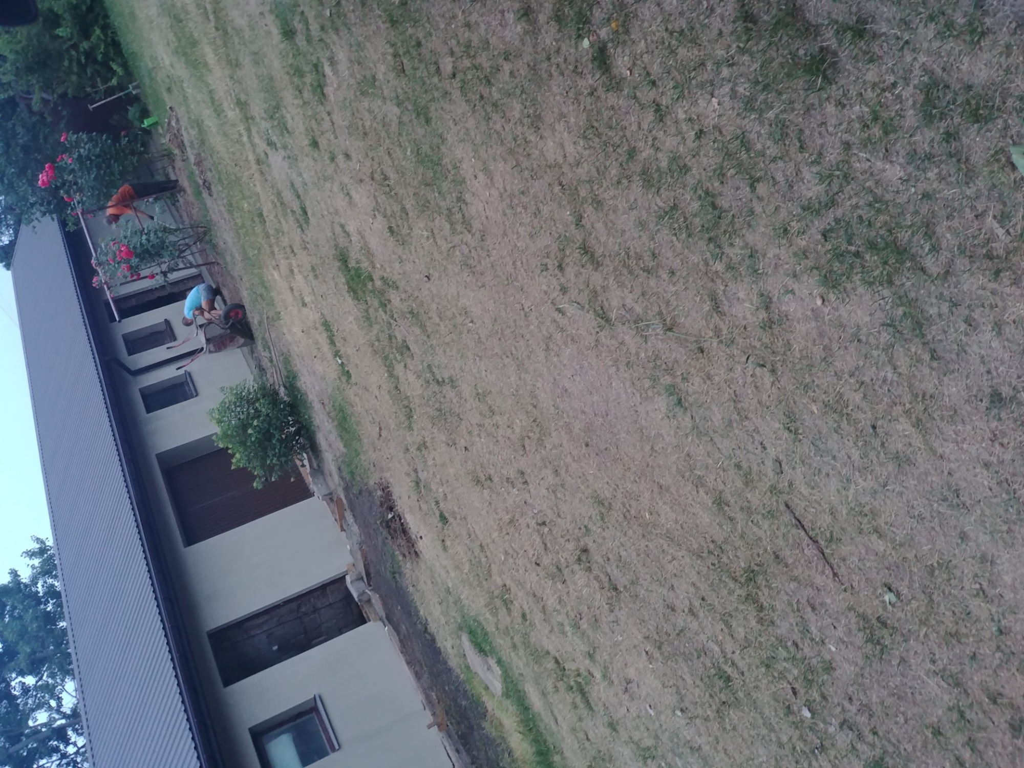 Dwaj mężczyźni pracują w ogrodzie przy domu z szarą elewacją i brązowymi drzwiami, jeden grabi, drugi przewozi coś w taczce, widoczne róże przy ścianie budynku.