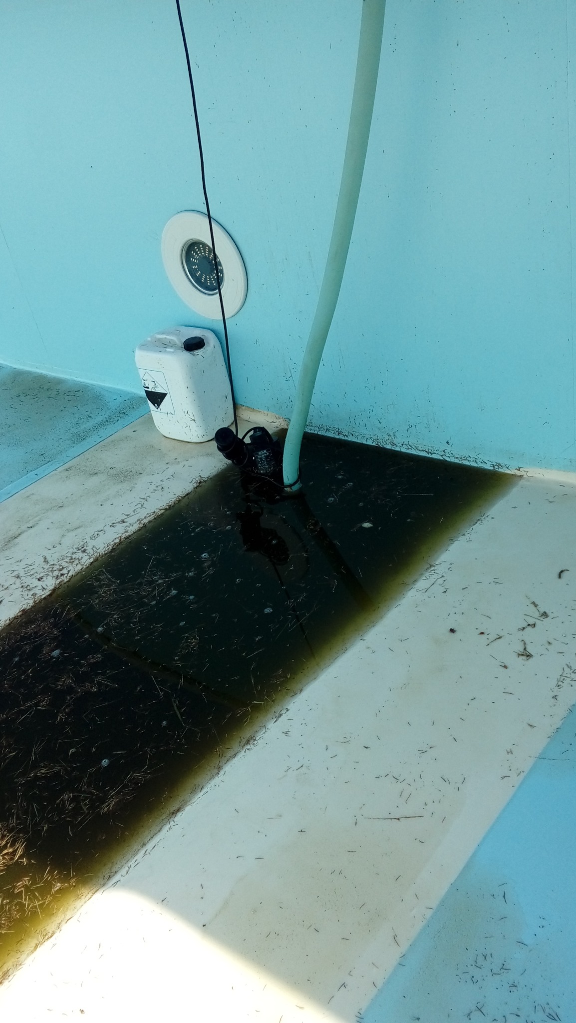 Zanieczyszczony basen w trakcie opróżniania, widoczna pompa zanurzona w brudnej wodzie z pływającymi igliwiem i liśćmi, obok biały pojemnik z symbolem ostrzegawczym.