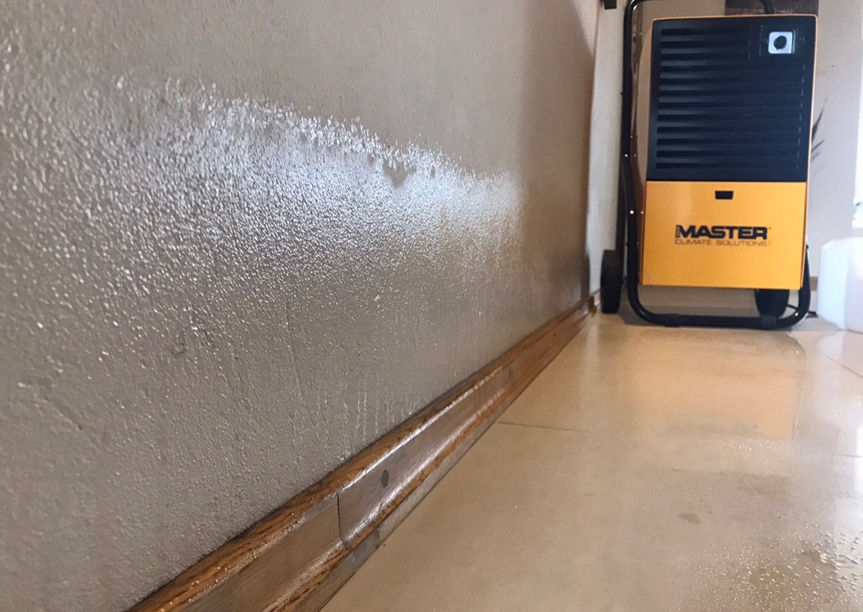 Wilgotna ściana z widoczną linią zawilgocenia oraz żółty osuszacz powietrza marki Master z czarnym panelem, stojący na mokrej, jasnej podłodze.
