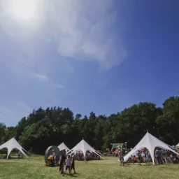 Szeroki kadr pikniku firmowego na trawiastym terenie z białymi namiotami gwiazda, dmuchańcem w tle i dekoracjami w kształcie grzybów, oświetlonego jasnym słońcem i błękitnym niebem.