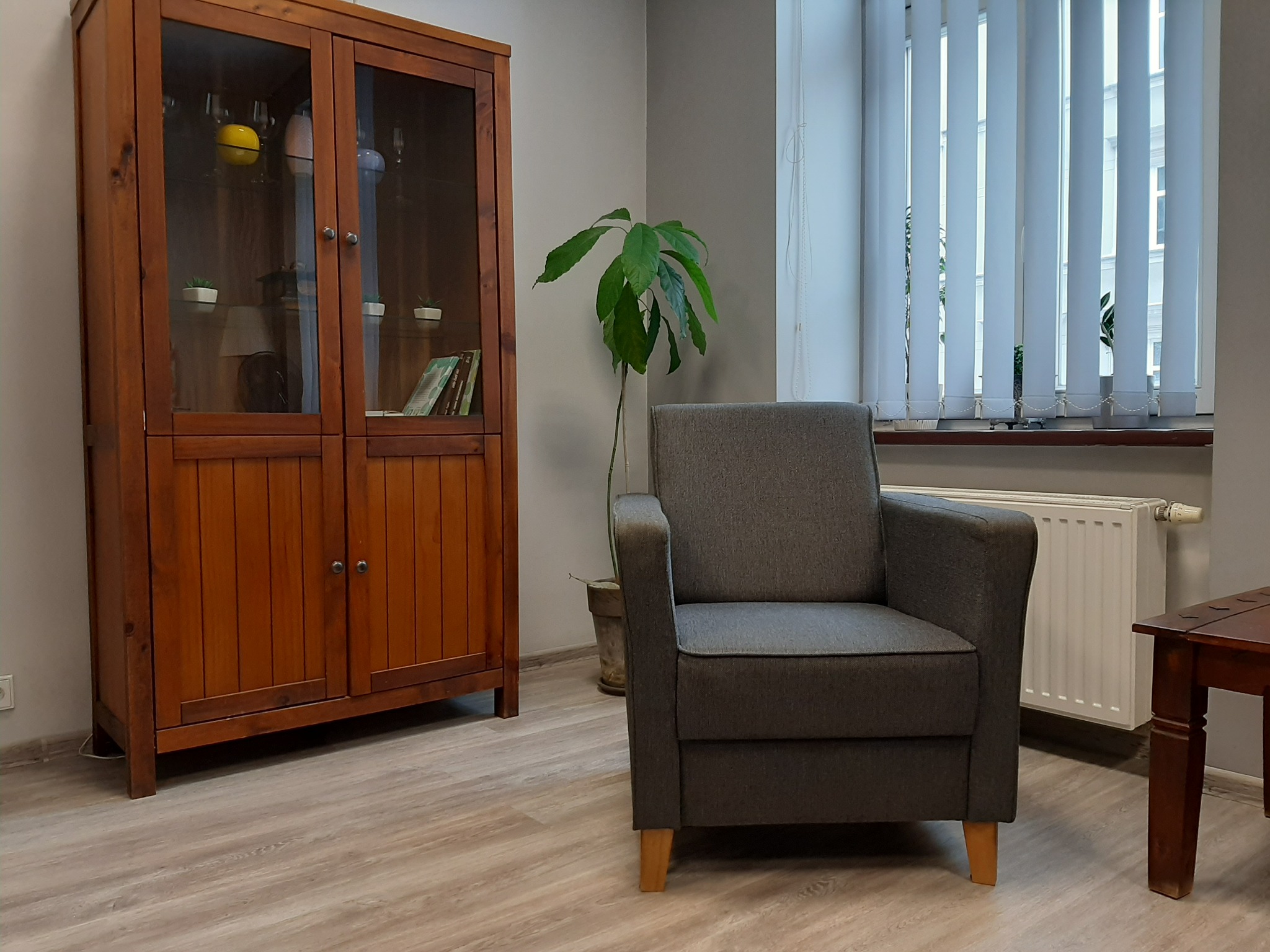 Wnętrze gabinetu z drewnianą witryną, szarym fotelem i rośliną doniczkową przy oknie z białymi żaluzjami.