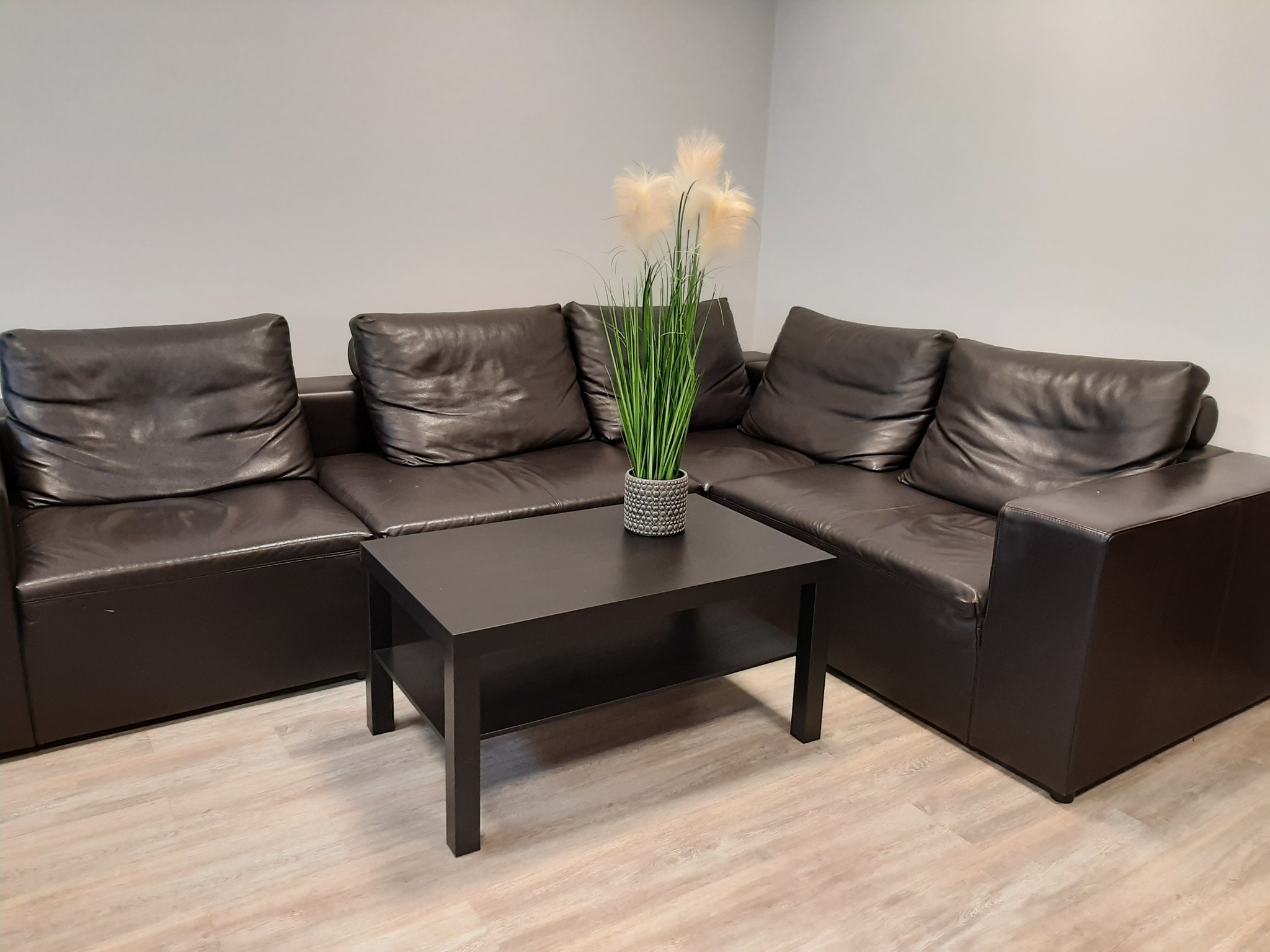 Ciemnobrązowy skórzany narożnik z poduszkami i czarnym stolikiem kawowym z dekoracyjną trawą pampasową w szarej doniczce na jasnej podłodze.