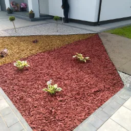 Ogród w Łochowie z dekoracyjną korą w dwóch kolorach, hosty i ozdobne drzewka, widok na nowoczesny dom z osobą stojącą przy oknie.