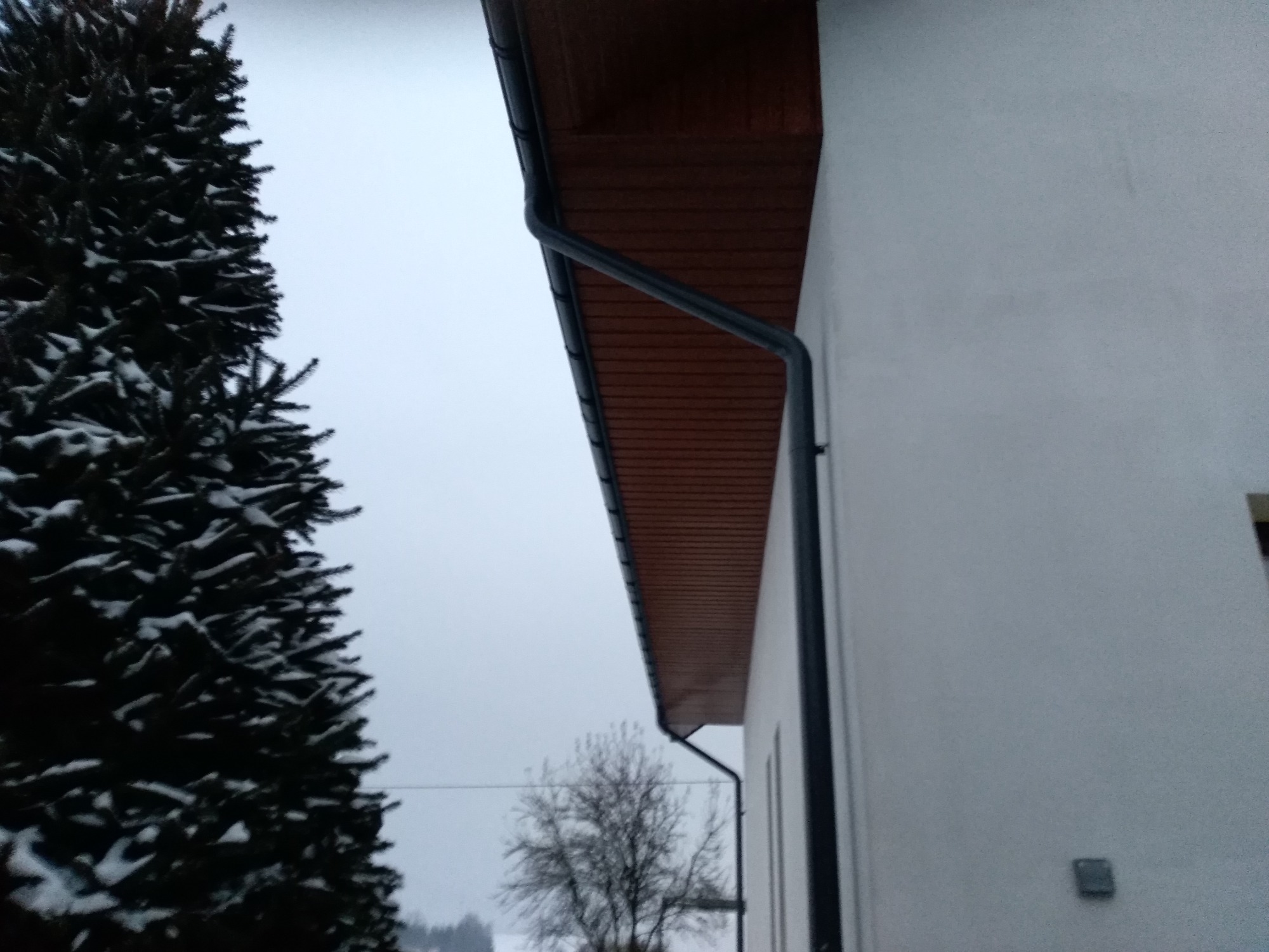 Fragment elewacji budynku z zamontowaną, ciemną rynną spustową i drewnianą podbitką dachową, widoczne drzewa iglaste w tle, pochmurna pogoda.