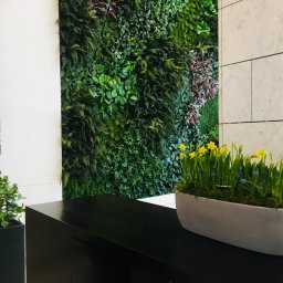 Zielona ściana i kompozycja kwiatowa, Hadart, 2017 rok.
