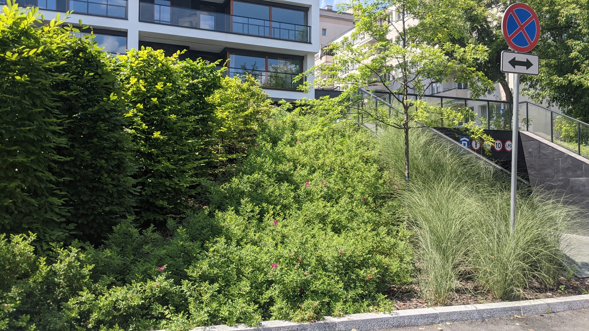 Skarpa osiedla Widoki Mokotów, wiosna 2021.