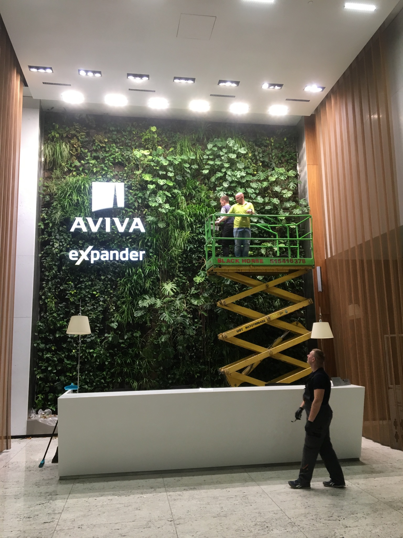 Pielęgnacja z podnośnika wykonanej przez Hadart zielonej ściany w Gdański Business Center, Warszawa 2019 rok.