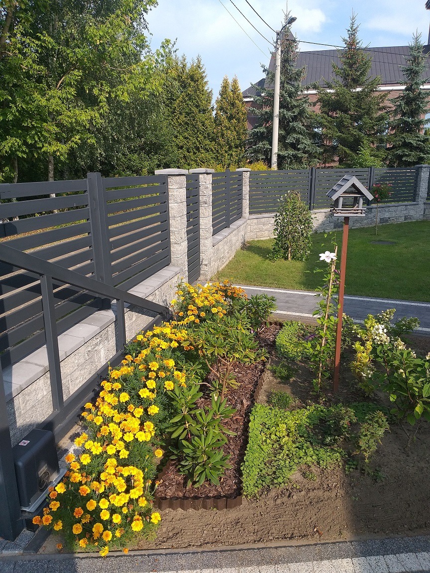 Nowoczesne ogrodzenie panelowe w kolorze grafitowym z kamiennymi słupkami, otoczone rabatą z kwitnącymi nagietkami i innymi roślinami, w tle dom z ciemną dachówką i wysokie drzewa iglaste.