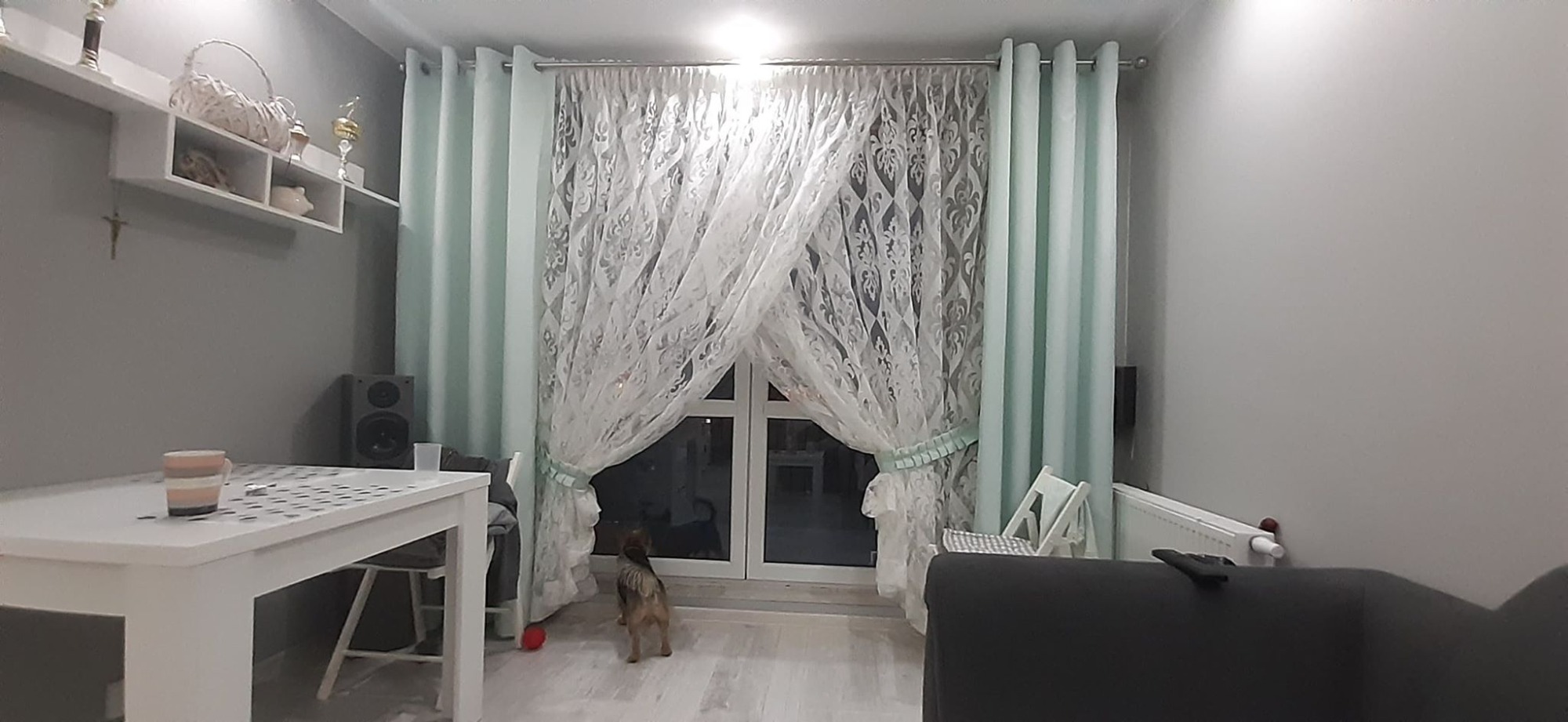 Salon z oknem udekorowanym długimi, turkusowymi zasłonami i białymi, koronkowymi firanami, z małym psem stojącym na podłodze i patrzącym przez okno.