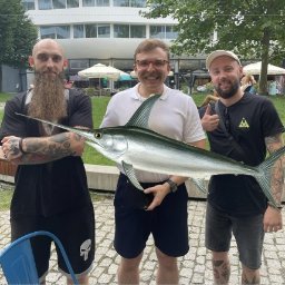 Domy murowane Wrocław 2