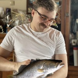 Domy murowane Wrocław 3