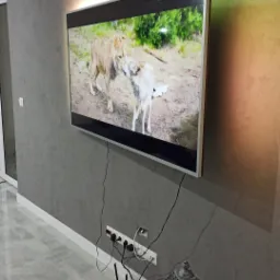 Telewizor na ścianie z szarą fakturą, podświetlony od góry, wyświetlający film z lwem i wilkiem, widoczny router i lampion z rośliną.