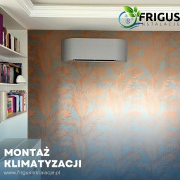 Frigus Instalacje - Perfekcyjny Montaż Wentylacji Sochaczew