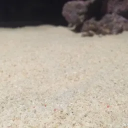 Jasny, drobnoziarnisty materiał sypki, prawdopodobnie używany do budowy lub dekoracji, z ciemnymi kamieniami w tle.