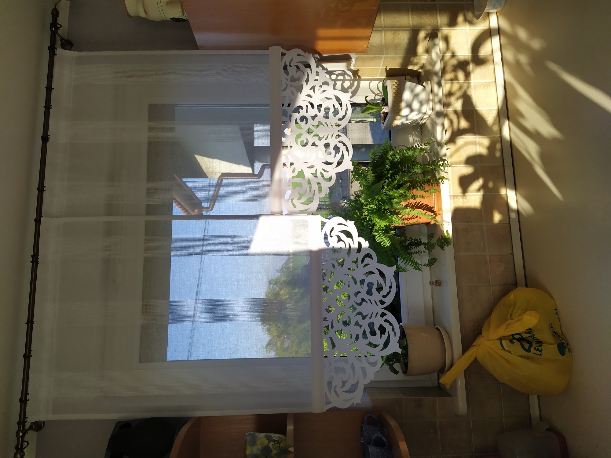 Okna przesłonięte białymi, poziomymi żaluzjami oraz dekoracyjną, ażurową firaną z roślinnym motywem, doniczkowe paprocie na parapecie, widok na zieleń za oknem.