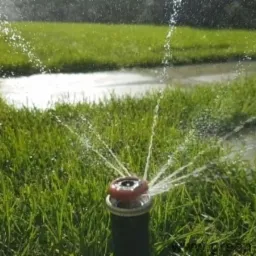 Zraszacz rotacyjny nawadnia soczyście zielony trawnik, tworząc efektowny wachlarz kropli wody w promieniach słońca.