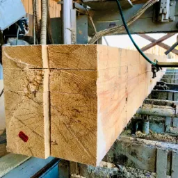 Świeżo przetarte belki z widocznym czerwonym oznaczeniem na czole, leżące na wózku traka taśmowego, otoczone trocinami.