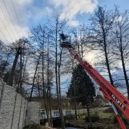 Pracownik na podnośniku koszowym przycina gałęzie drzew nad rzeką, widoczny betonowy płot i pocięte gałęzie na ziemi.