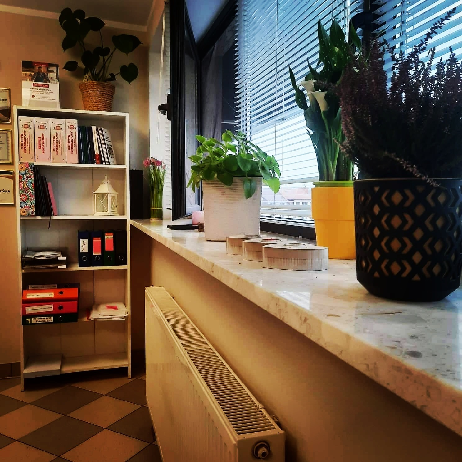 Wnętrze pokoju biurowego z półką na dokumenty i roślinami doniczkowymi na parapecie okiennym z żaluzjami.